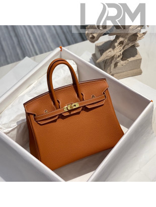 Hermes Birkin 25cm Bag in Togo Calfskin Brown/Gold 2022