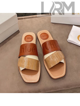 Chloe Leather Strap Flat Slide Sandals Brown 2021