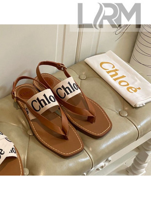 Chloe Logo Canvas Thong Flat Sandals White 2021