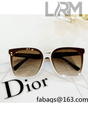 Dior Nuance Sunglasses 2022 84
