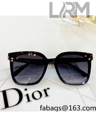 Dior Nuance Sunglasses 2022 85