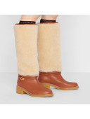 Dior D-Furious Boots in Brown Calfskin and Shearling Wool 2020