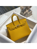 Hermes Birkin 25cm Bag in Togo Calfskin Jaune Amber Yellow/Gold 2022