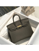 Hermes Birkin 25cm Bag in Togo Calfskin Tinware Grey/Gold 2022