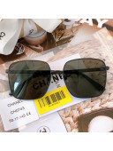 Chanel Sunglasses CH0743 2022 02