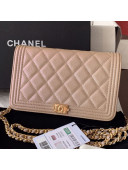 Chanel Iridescent Grained Calfskin Boy Wallet On Chain WOC A80287 Nude 2019