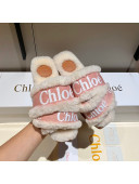 Chloe Logo Strap & Wool Slide Sandals Pink 2021