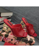 Dolce & Gabbana DG Patent Leather Slide Sandals 10.5cm Red/Gold 2021 