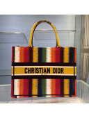 Dior Small Book Tote Bag in Rianbow Stripes Embroidery 2021