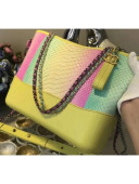 Chanel Rainbow Python Gabrielle Medium Hobo Bag A93824 2018