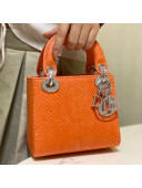 Dior Mini Lady Dior Bag in Python Leather Orange 2021