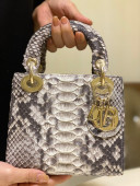 Dior Mini Lady Dior Bag in Python Leather Grey 2021