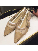 Dior "J'Adior" Ballet Shoe in Dotted Swiss with Rhinestones Nude 2018