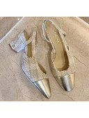 Chanel Slingbacks In Lambskin & Tweed G31318 Beige /Silver 2020