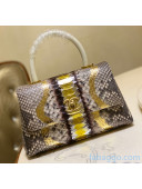 Chanel Python & Lambskin Leather Small Flap Bag With Top Handle A93050 Gold 01 2020