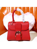 Delvaux Brillant Mini Rodéo in Grained Calfskin Bag Red 2020