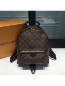 Louis Vuitton Palm Spring Monogram Canvas Backpack MM M41561（Top Quality）