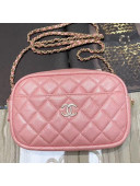Chanel Iridescent Quilted Grained Calfskin Camera Case Shoulder Bag A91796 Pink 2019