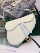 Dior Medium Saddle Bag in Oblique Canvas Bag White 2020
