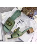 Dior 30 MONTAIGNE Heeled Slide Sandals in Crocodile Pattern Calfskin Light Green 2020