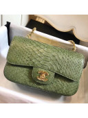 Chanel Python Classic Small Flap Bag Olive Green 2018