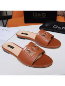 Dolce&Gabbana Cutout DG Calfskin Flat Slide Sandals Brown 2021