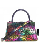 Chanel Python Leather Coco Handle Mini Bag Multicolor 2018