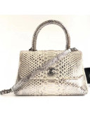 Chanel Python Leather Coco Handle Mini Bag Gray 2018