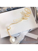 Dior Star Crystal CD Earring DE2081209 2020