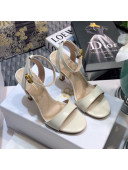 Dior Boy-D CD Shiny Calfskin Sandals 8cm White 2021