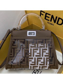 Fendi FF Transparent Peekaboo Mini Top Handle Bag Coffee 2019