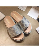 Gucci GG Lamé Platform Slide Sandal 573018 Silver 2021