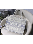 Dior Small Book Tote Bag in Light Blue Toile de Jouy Embroidery 2021