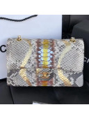 Chanel Python Leather Medium Classic Double Flap Bag 2