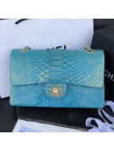 Chanel Python Leather Medium Classic Double Flap Bag 4