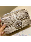 Chanel Python Leather Small Classic Flap Bag A1116 Grey/White 2020(Silver Hardware)