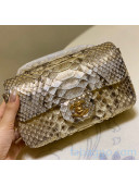Chanel Python Leather Small Classic Flap Bag A1116 Silver/Grey/Gold 2020(Gold Hardware)