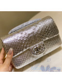 Chanel Python Leather Small Classic Flap Bag A1116 Silver 2020(silver Hardware)