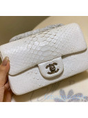 Chanel Python Leather Small Classic Flap Bag A1116 White 2020(Silver Hardware)