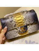 Chanel Python Leather Small Classic Flap Bag A1116 Grey/Gold 03 2020(Gold Hardware)
