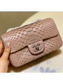 Chanel Python Leather Small Classic Flap Bag A1116 Nude 2020(Silver Hardware)