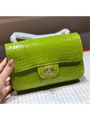 Chanel Crocodile Leather Small Classic Flap Bag A1116 Green 2020（Gold Hardware）