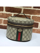 Gucci Ophidia GG Cosmetic Case 611001 Beige 2020