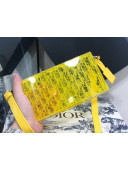 Dior Oblique Transparency PMMA Box Clutch Shoulder Bag Yellow 2020