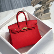 Hermes Birkin 25cm Bag in Togo Calfskin Red/Gold 2022