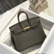 Hermes Birkin 25cm Bag in Togo Calfskin Tinware Grey/Gold 2022