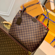 Louis Vuitton Graceful PM Hobo Bag in Damier Ebene Canvas N44044 2022