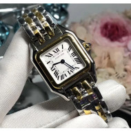 Cartier Medium Panthère de Cartier Watch Silver/Gold 2020