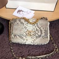 Chanel Snakeskin Small Flap Bag AS1160 Gray 2022