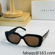 Celine Sunglasses CL4S216 Black 2022 032940